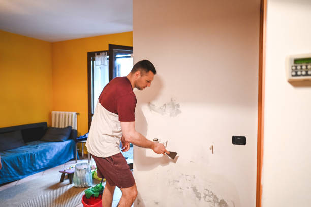 Best Mold Testing and Inspection Services in Cleveland, WI